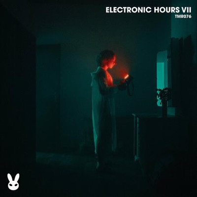Electronic Hours VII (2024) MP3