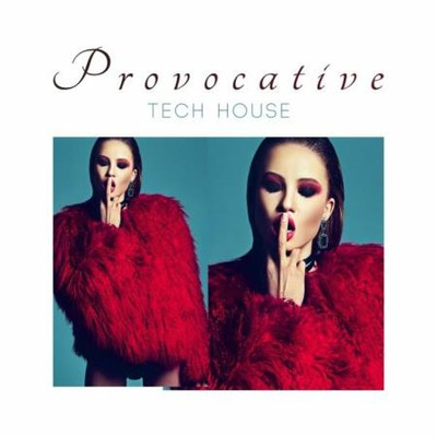 Provocative Tech House (2023) MP3