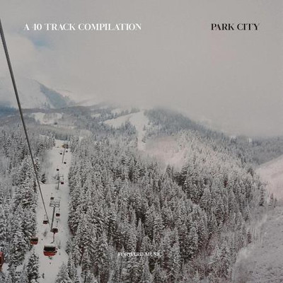A 40 Track Compilation: Park City (2023) MP3
