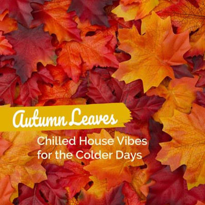 Autumn Leaves: Chilled House Vibes for the Colder Days (2023) MP3