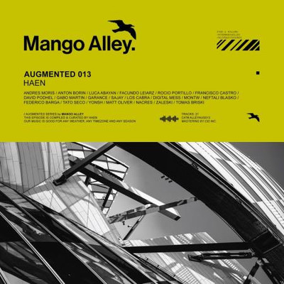 Augmented 013 / Haen (2024) MP3