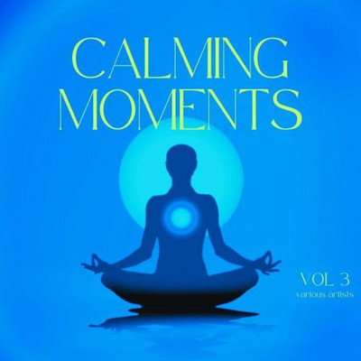 Calming Moments, Vol. 3 (2024) MP3