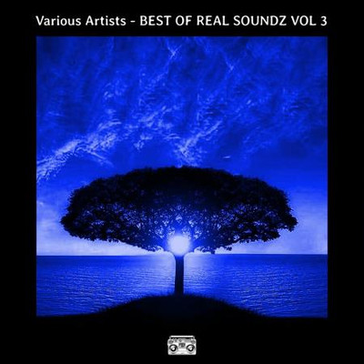 BEST OF REAL SOUNDZ VOL 3 (2024) MP3