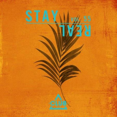 Stay Real, Vol 55 (2024) MP3
