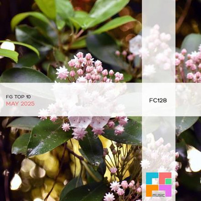 FG Top 10: May 2025 (2025) MP3